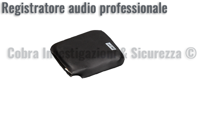 Registratori audio